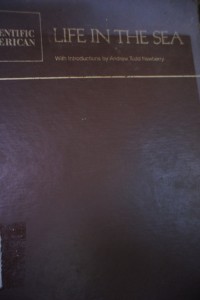 Image of Life in The Sea