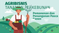 Image of Agribisnis Tanaman Perkebunan